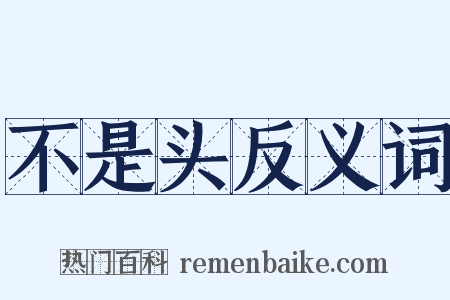 不是头反义词是什么意思的图片